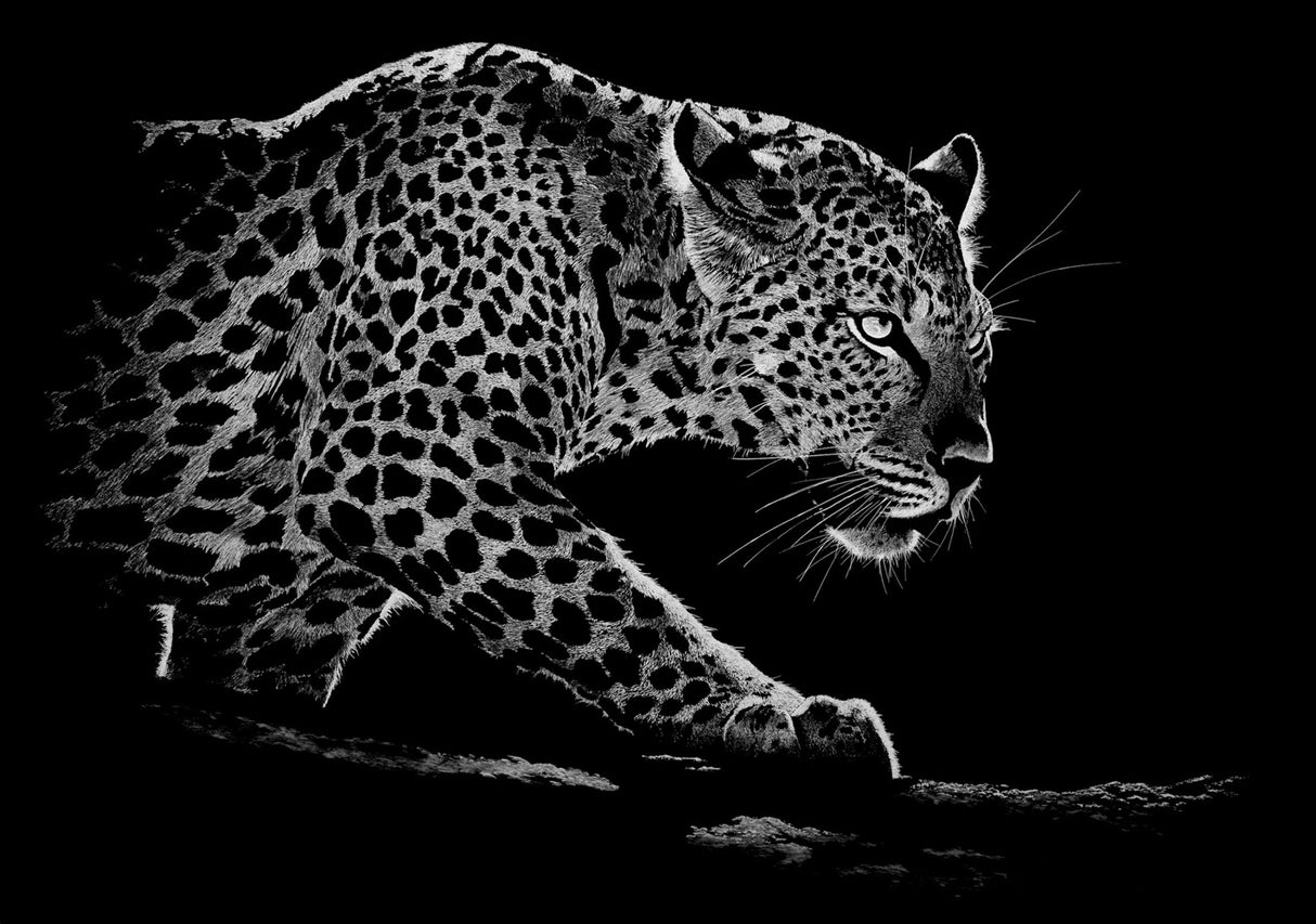 Rigby Limited Edition The Elusive Leopard Art Print