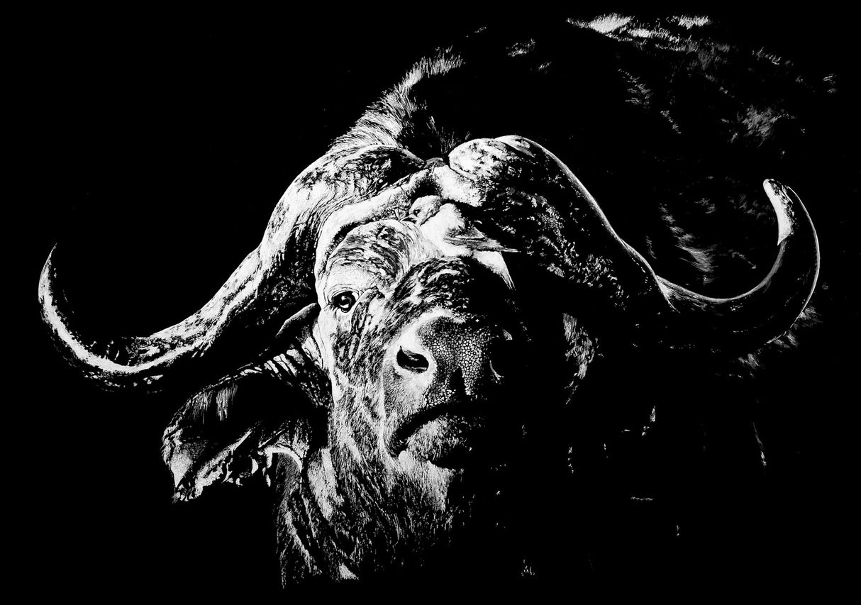 Rigby Limited Edition The Black Death Buffalo Art Print