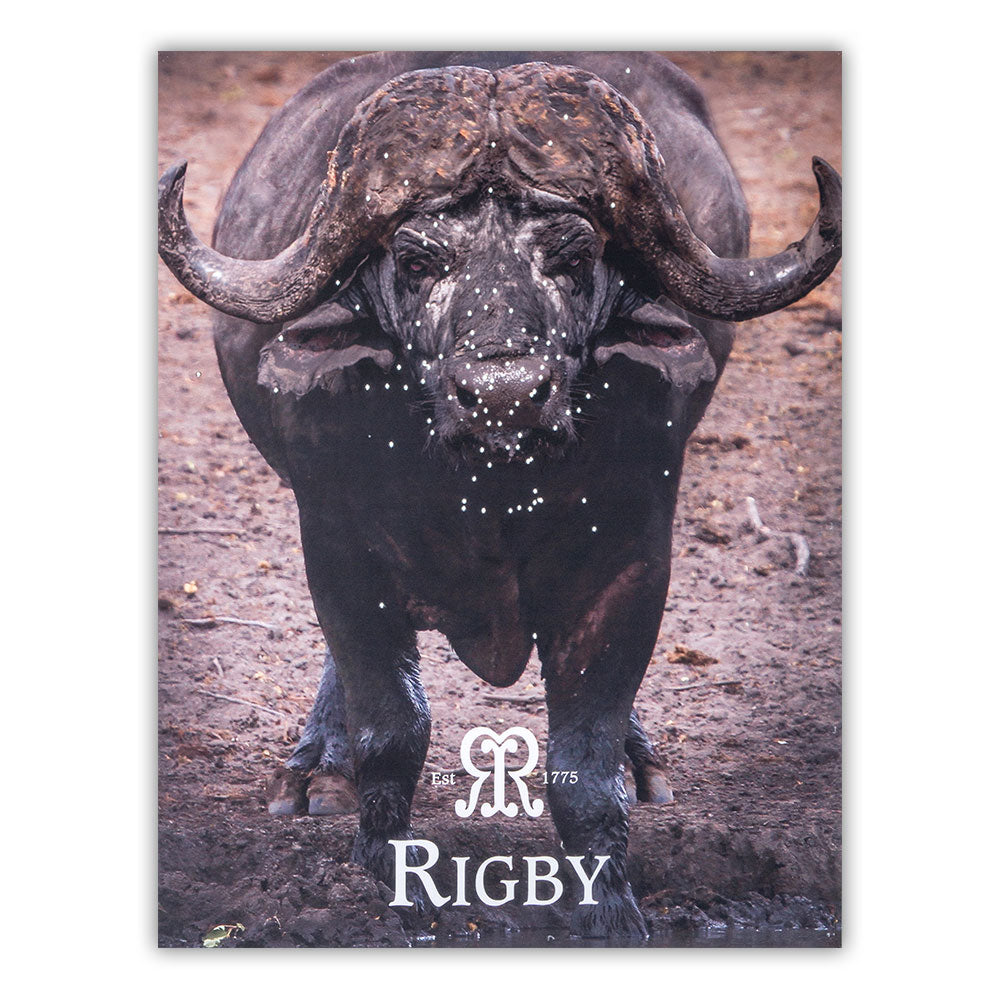 Rigby Fabric Life Size Buffalo Targets (152cm x 116cm)