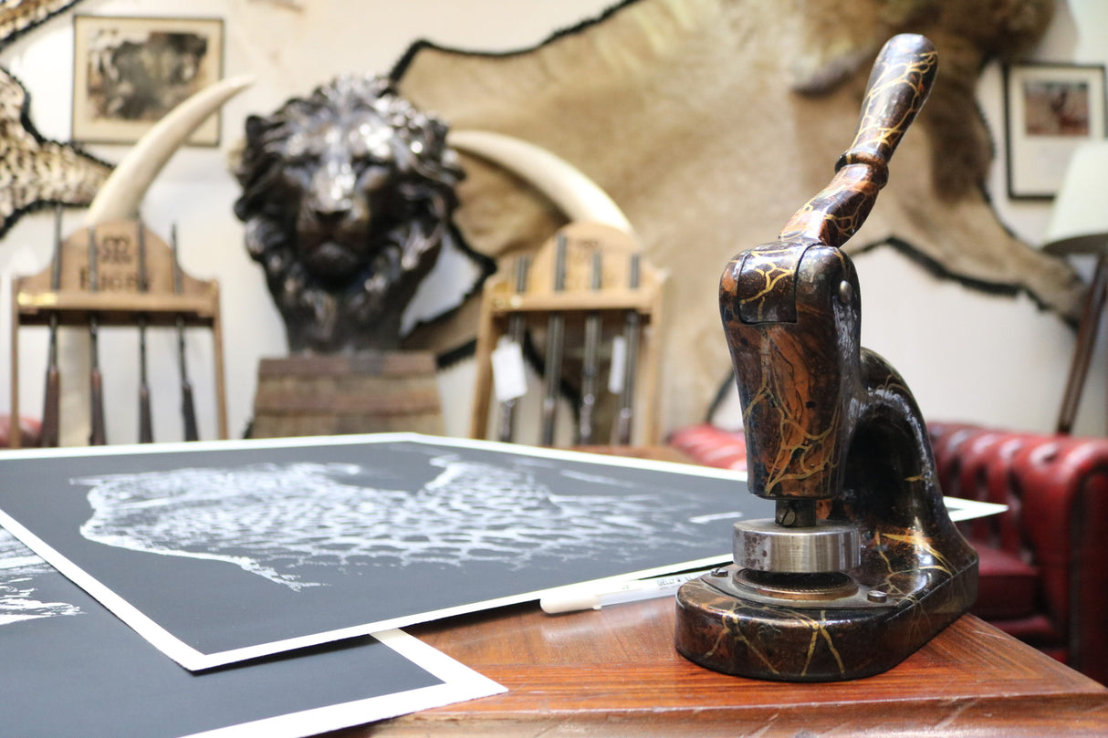 Rigby Limited Edition The Elusive Leopard Art Print