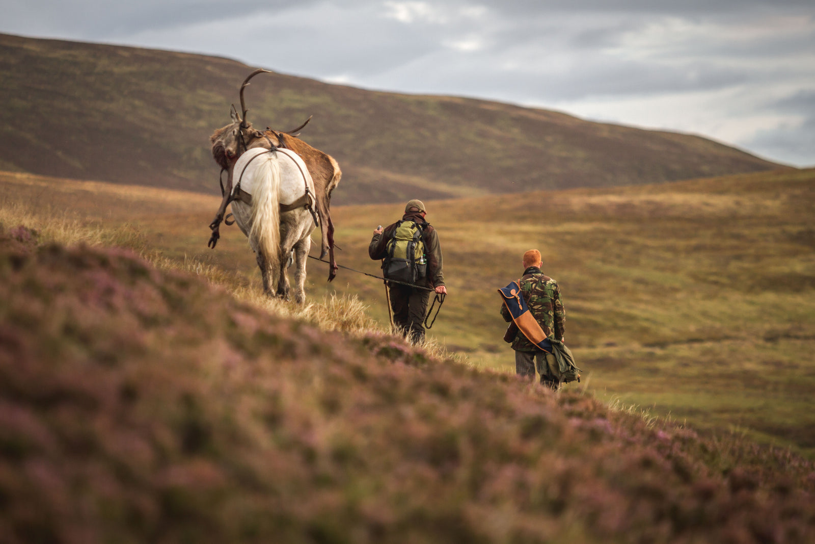 Stag Diaries - A Scottish Highland Adventure with John Rigby & Co