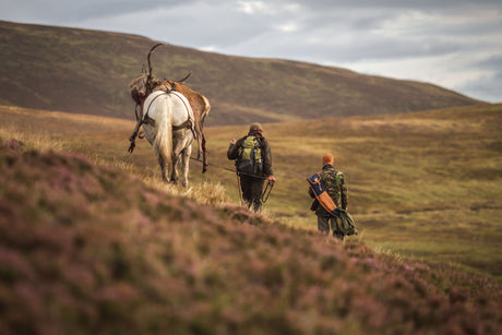 Stag Diaries - A Scottish Highland Adventure with John Rigby & Co