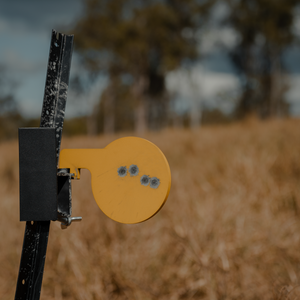 Gong Targets