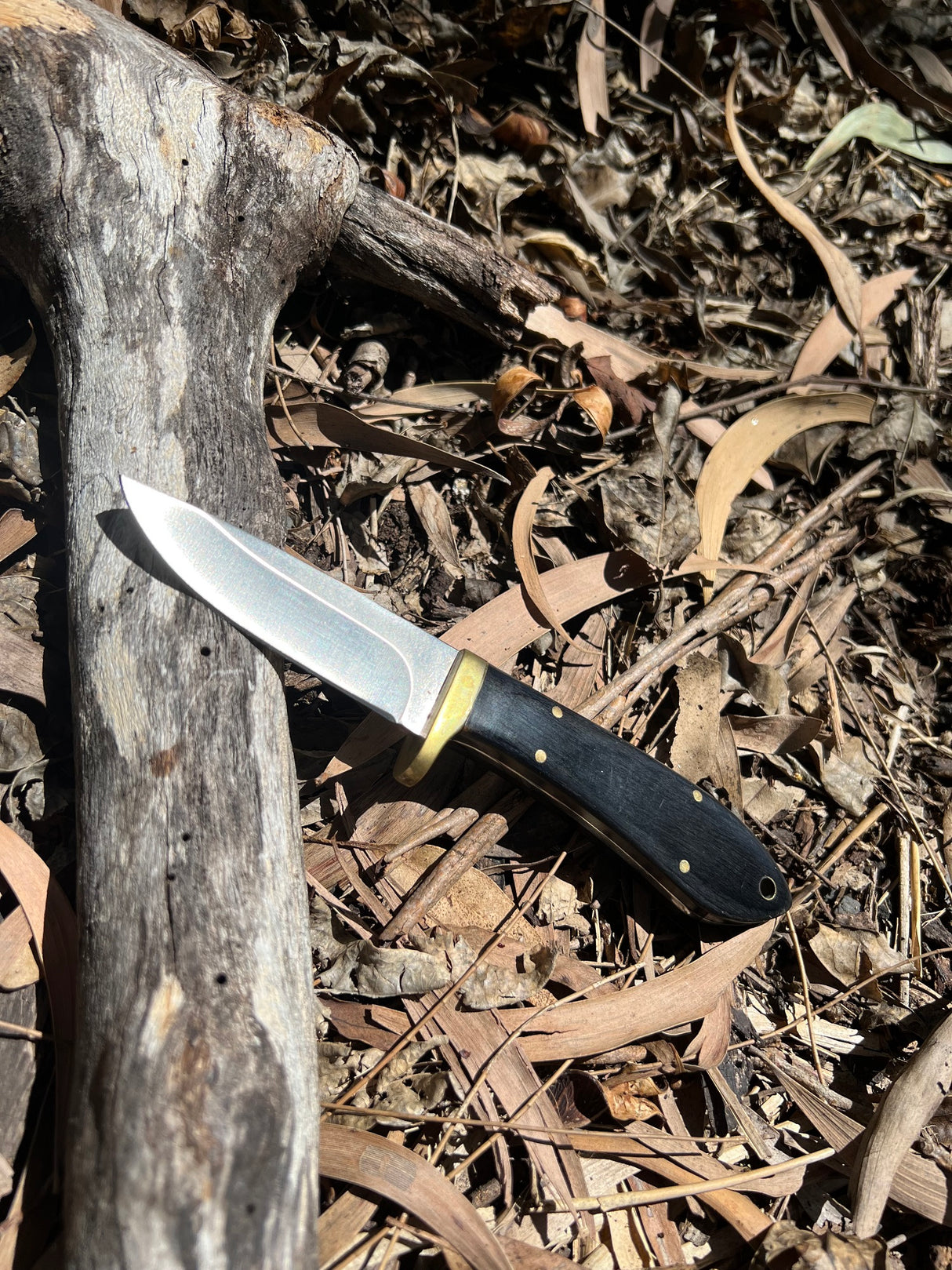 Pro-Tactical Knife Caping Knife 3 Inch Blade
